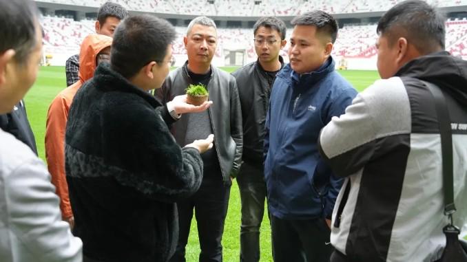 草坪总监邱 草坪总监邱